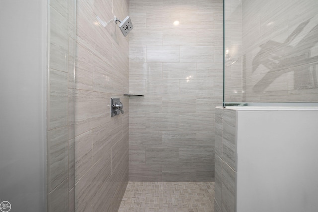 53081 Enclave Cir, Shelby Twp, MI 48315 - bathroom featuring walk in shower