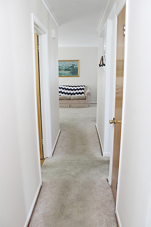 24849 Curie St, Warren, MI 48091 - hall featuring carpet floors and ornamental molding