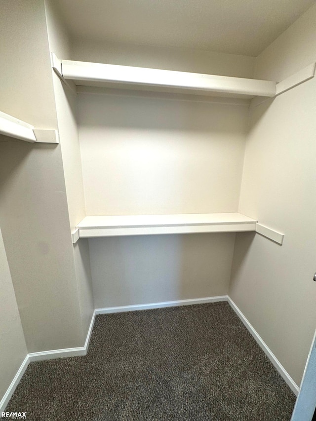 53168 Pineridge Dr, New Baltimore, MI 48051 - spacious closet featuring carpet flooring