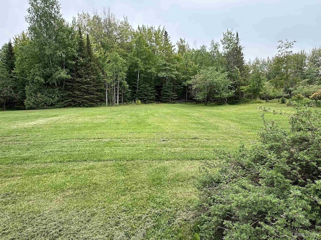 708 Paul Bunyan Ave, Ontonagon, MI 48853 - view of grassy yard with a forest view