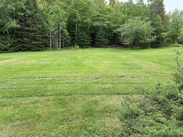 708 Paul Bunyan Ave, Ontonagon, MI 48853 - view of green lawn