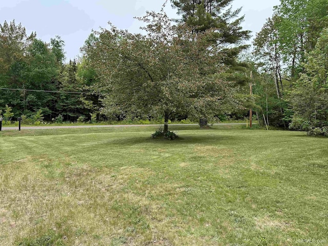 708 Paul Bunyan Ave, Ontonagon, MI 48853 - view of green lawn