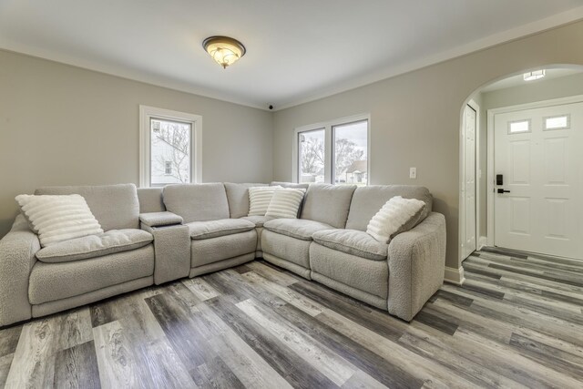 29230 Harding St, Roseville, MI 48066 - living area featuring arched walkways, plenty of natural light, and wood finished floors