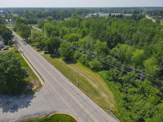 423 W Railway St, Coleman, MI 48618 - drone / aerial view