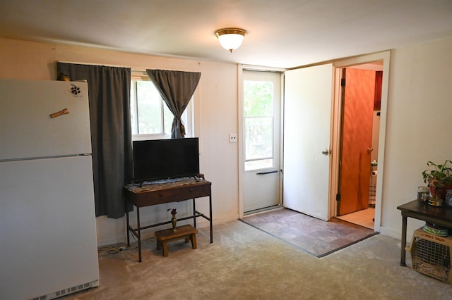 423 W Railway St, Coleman, MI 48618 - entrance foyer featuring carpet flooring