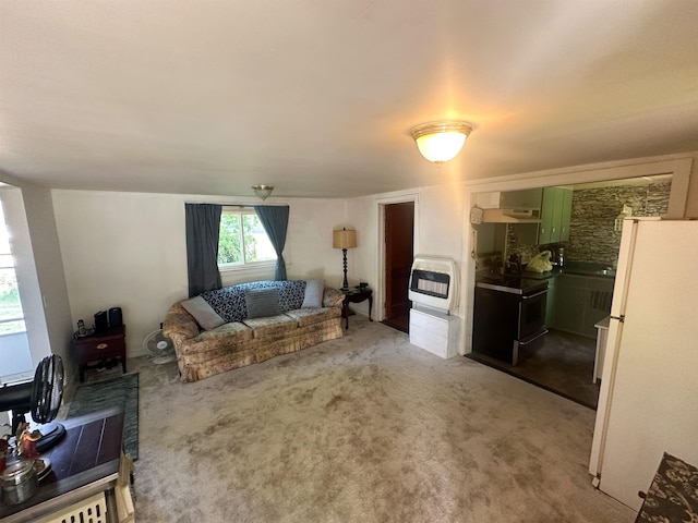 423 W Railway St, Coleman, MI 48618 - living area with heating unit and light colored carpet