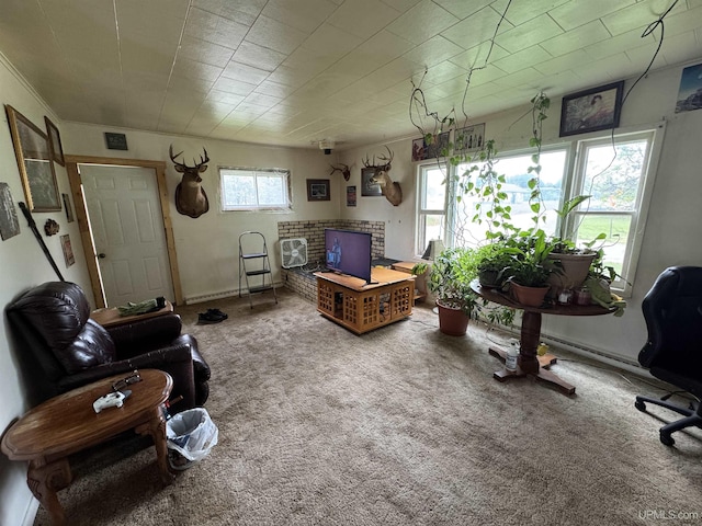 301 Kahma Ave, Amasa, MI 49902 - view of carpeted living room