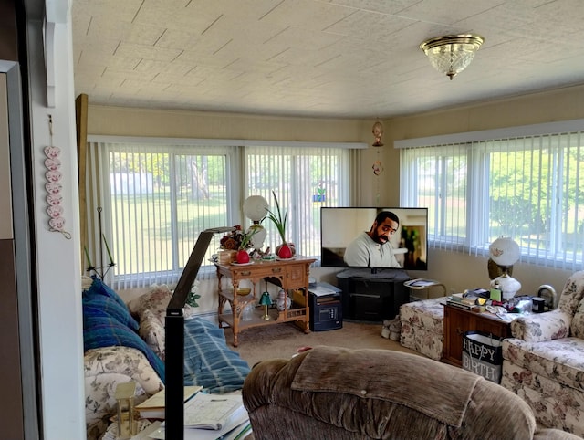 11131 Kaylynn Dr, Lake, MI 48632 - living room with carpet flooring