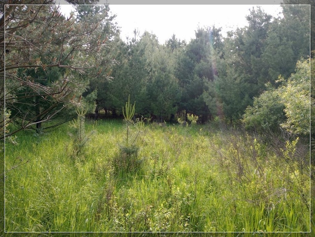 LOT25 Winchester Way, Butman, MI 48624