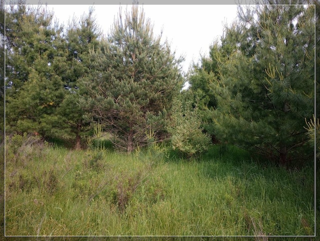 LOT25 Winchester Way, Butman, MI 48624