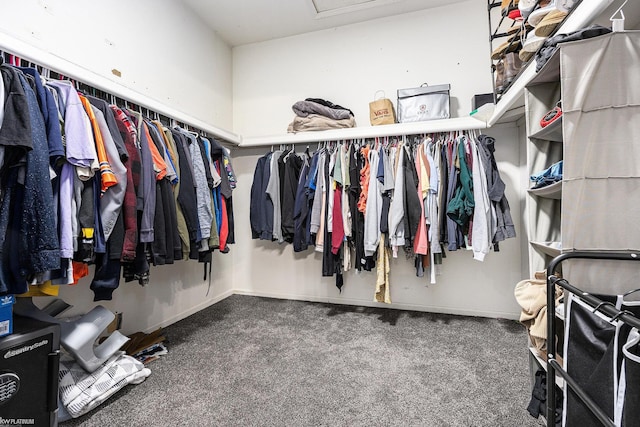 53564 Grace Dr, New Baltimore, MI 48047 - walk in closet with carpet floors