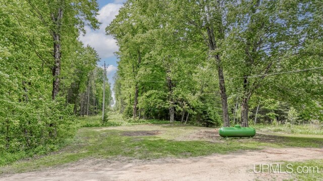 N1953 M67 Hwy, Limestone, MI 49816 - view of yard