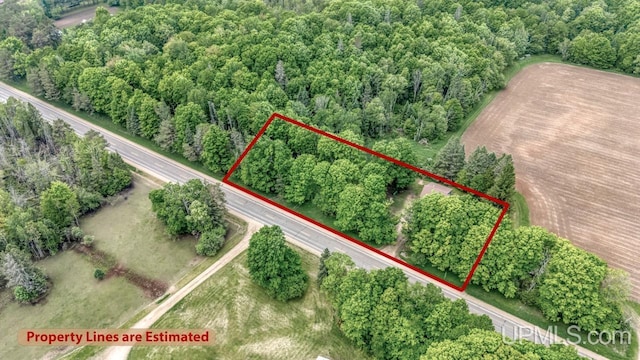 N1953 M67 Hwy, Limestone, MI 49816 - aerial overview of property's location with property parcel outlined
