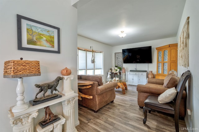 15951 Water St, Garden, MI 49835 - living area with wood finished floors