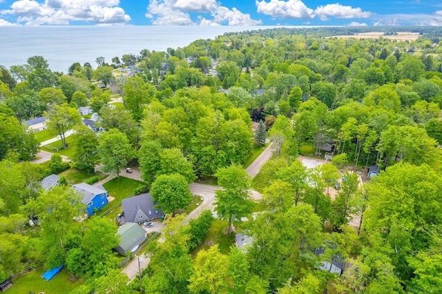 7416 Forest Rd, Lexington, MI 48450 - aerial view