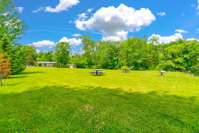 7416 Forest Rd, Lexington, MI 48450 - view of grassy yard with a shed