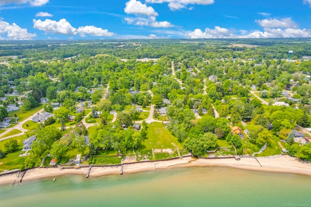 7416 Forest Rd, Lexington, MI 48450 - aerial view of residential area