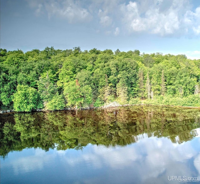 PARCEL2 Eagle Dr, Michigamme, MI 49861
