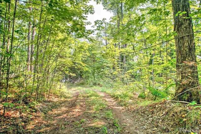 PARCEL2 Eagle Dr, Michigamme, MI 49861