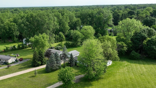 13148 Saginaw Rd, Clio, MI 48420 - bird's eye view of a heavily wooded area