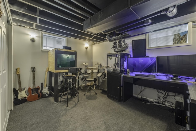 4856 Wagner Rd, Croswell, MI 48422 - finished basement featuring carpet flooring