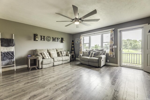 4856 Wagner Rd, Croswell, MI 48422 - living room with ceiling fan and wood finished floors