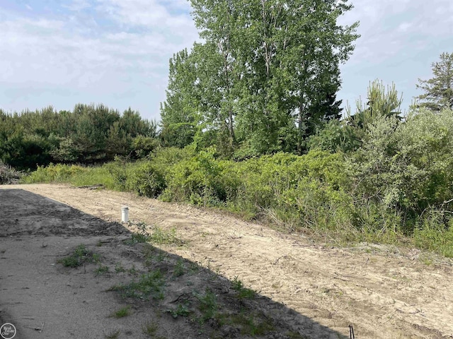 8540 Wildcat Rd, Jeddo, MI 48032 - view of road