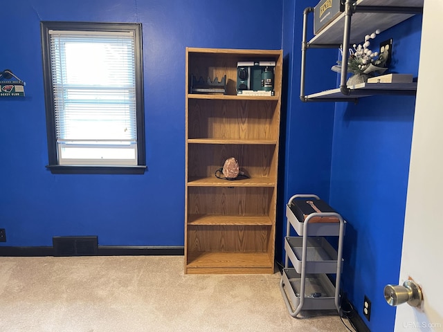 301 N 7th Ave, Hurley, WI 54534 - walk in closet featuring carpet flooring