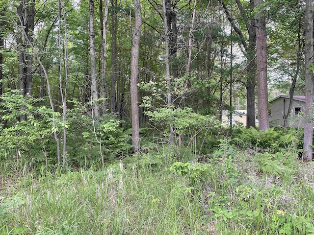1549 N 7 Mile Rd, Sanford, MI 48657 - view of woods