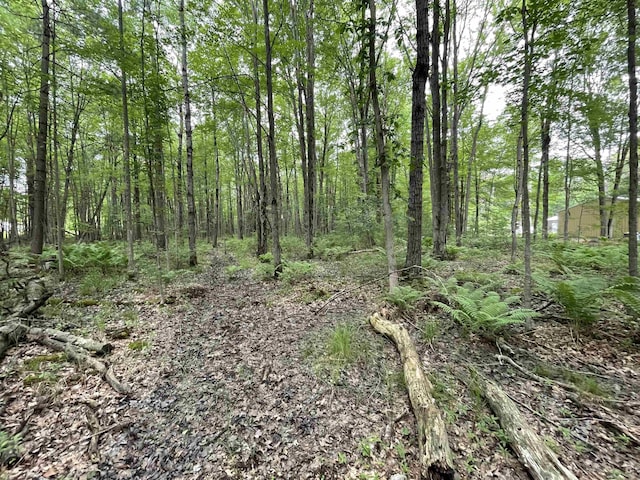 1549 N 7 Mile Rd, Sanford, MI 48657 - view of wooded area