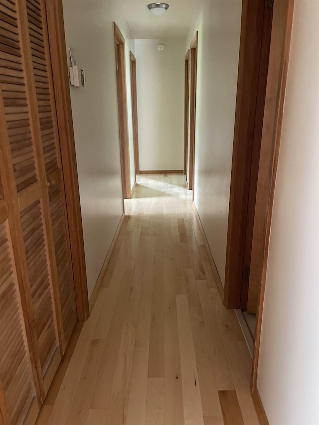 1549 N 7 Mile Rd, Sanford, MI 48657 - hallway with light wood-style flooring and baseboards
