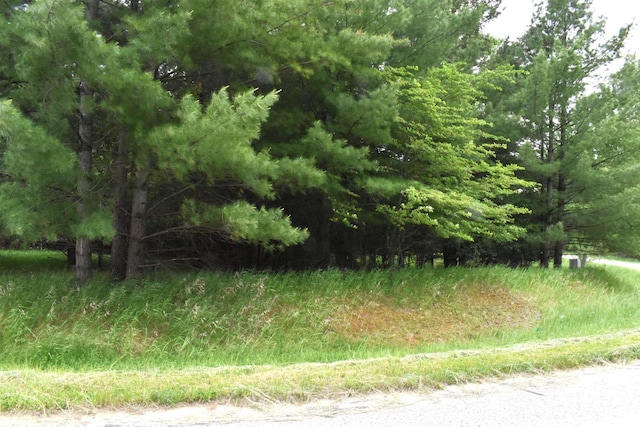 LOT155 Robinhood Way, Gladwin, MI 48624