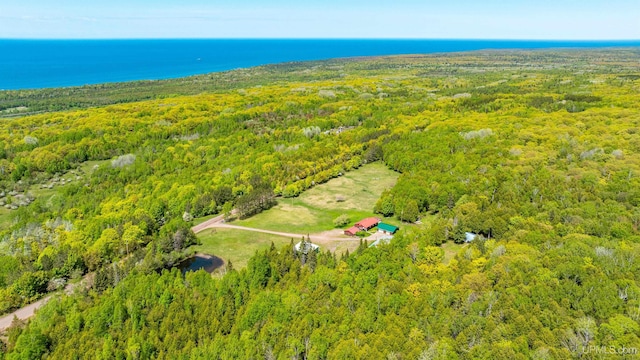 1120 Dextrom Rd, Calumet, MI 49913 - drone / aerial view of a forest and a nearby body of water