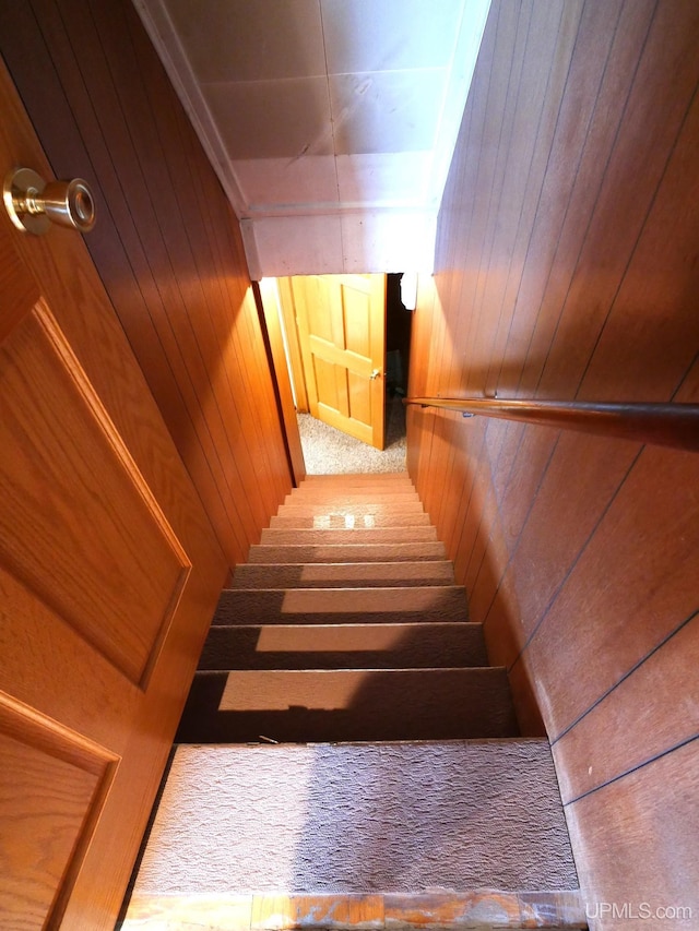 1120 Dextrom Rd, Calumet, MI 49913 - stairs with wood walls and carpet floors