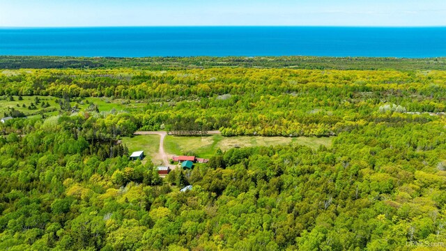 1120 Dextrom Rd, Calumet, MI 49913 - drone / aerial view of a forest and a large body of water
