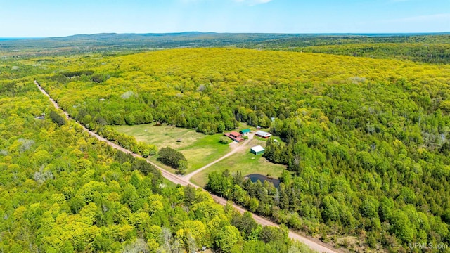 1120 Dextrom Rd, Calumet, MI 49913 - drone / aerial view of a forest