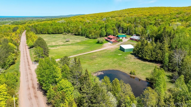 1120 Dextrom Rd, Calumet, MI 49913 - aerial view of a forest and a large body of water