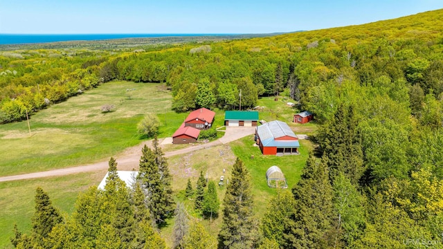 1120 Dextrom Rd, Calumet, MI 49913 - aerial view of property and surrounding area with a forest
