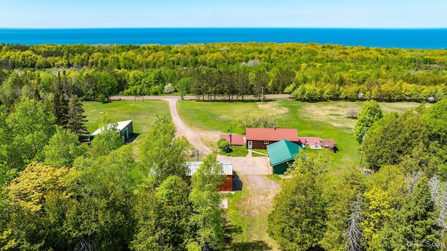 1120 Dextrom Rd, Calumet, MI 49913 - view of subject property featuring a heavily wooded area and a large body of water