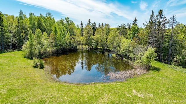 1120 Dextrom Rd, Calumet, MI 49913 - water view with a forest