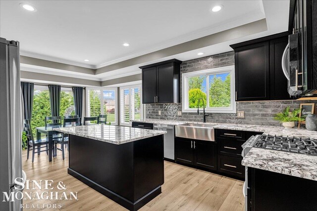 1319 S River Pointe Dr, Saint Clair, MI 48079 - kitchen featuring dark cabinets, appliances with stainless steel finishes, ornamental molding, plenty of natural light, and a tray ceiling