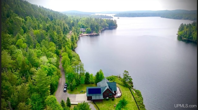 273 N Basin Dr, Negaunee, MI 49866 - bird's eye view of a large body of water and a forest
