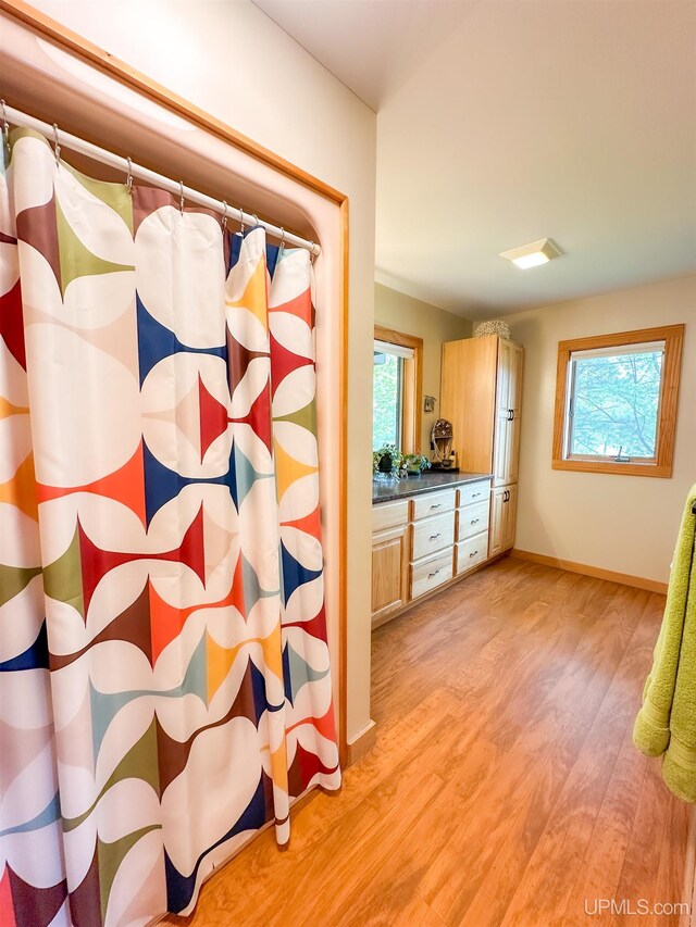 273 N Basin Dr, Negaunee, MI 49866 - bathroom featuring wood finished floors, plenty of natural light, vanity, and a shower with curtain