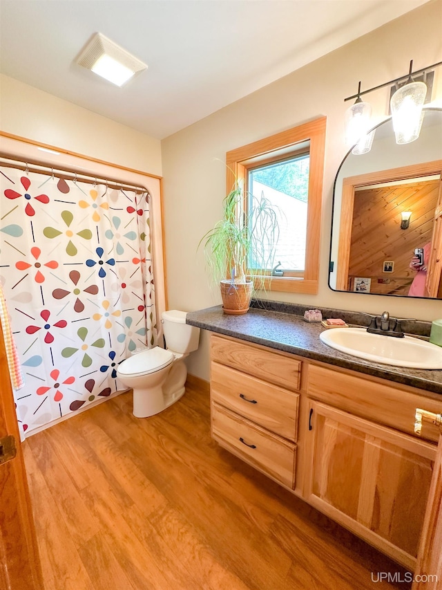 273 N Basin Dr, Negaunee, MI 49866 - bathroom featuring vanity, wood finished floors, and curtained shower
