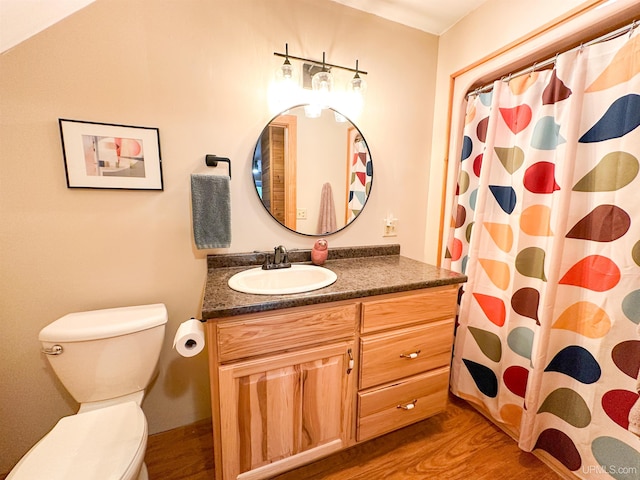 273 N Basin Dr, Negaunee, MI 49866 - full bathroom with vanity, wood finished floors, and a shower with curtain
