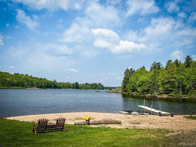 273 N Basin Dr, Negaunee, MI 49866 - water view featuring a forest and a boat dock
