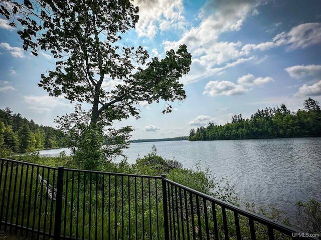 273 N Basin Dr, Negaunee, MI 49866 - water view with a forest