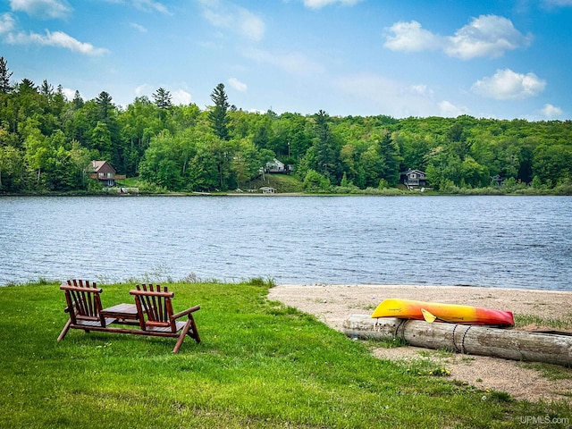 273 N Basin Dr, Negaunee, MI 49866 - water view with a heavily wooded area