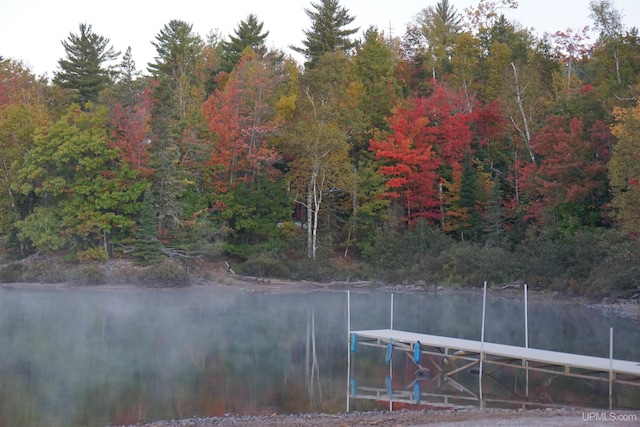 273 N Basin Dr, Negaunee, MI 49866 - view of yard featuring a water view, a wooded view, and a dock
