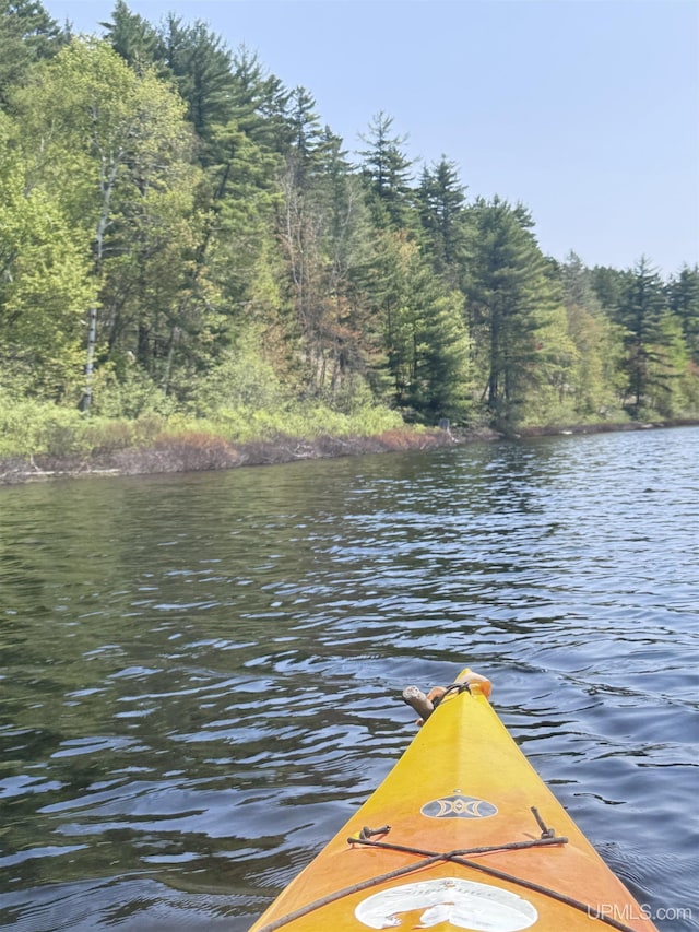273 N Basin Dr, Negaunee, MI 49866 - dock featuring a forest view and a water view